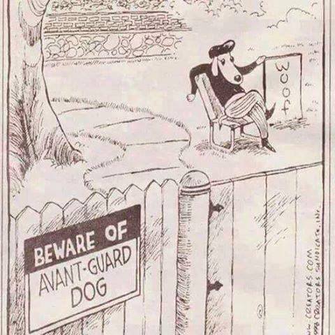 avant guard dog